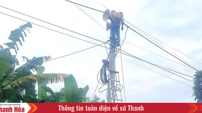 តាន់ថាញ់ ពង្រឹងហេដ្ឋារចនាសម្ព័ន្ធសម្រាប់ "ខ្សែជីវិត" ព័ត៌មានរបស់ខ្លួន។