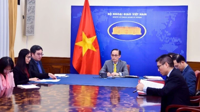 រដ្ឋមន្ត្រីការបរទេស លោក Le Hoai Trung បានជួបសន្ទនាតាមទូរស័ព្ទជាមួយរដ្ឋមន្ត្រីអឺរ៉ុប និងការបរទេសបារាំង។