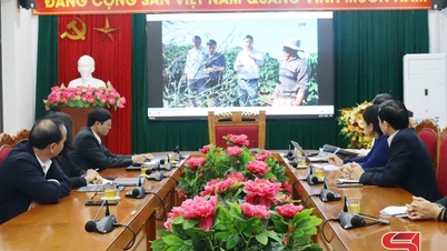 Thẩm định phóng sự phục vụ Đại hội đại biểu Hội Nông dân tỉnh Sơn La lần thứ XI