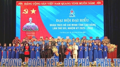 សមាជលើកទី១៦ នៃសហភាពយុវជនកុម្មុយនិស្តហូជីមិញខេត្ត សម្រាប់អាណត្តិ២០២៥-២០៣០ បានបញ្ចប់ដោយជោគជ័យ។