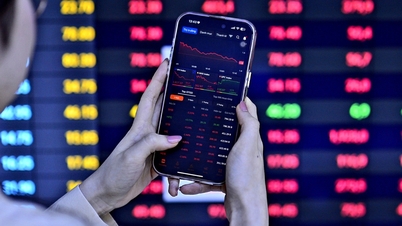 PYN Elite Fund, „žralok“, říká, že tento rok by se měl nazývat „VIN-Index“.