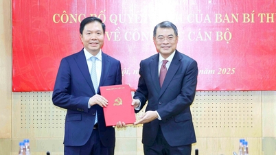M. Trinh Manh Linh a été nommé chef adjoint du département central de l'organisation.