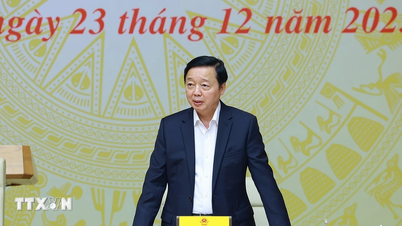 Vice premiärminister Tran Hong Ha ledde mötet för styrkommittén för bekämpning av IUU-fiske.