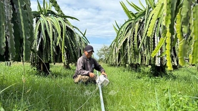 Memperbaiki infrastruktur dan menstabilkan kehidupan masyarakat di Vietnam Tengah setelah badai dan banjir.