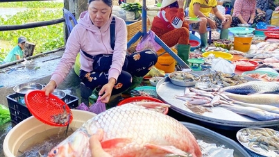 រដូវនេសាទទន្លេ
