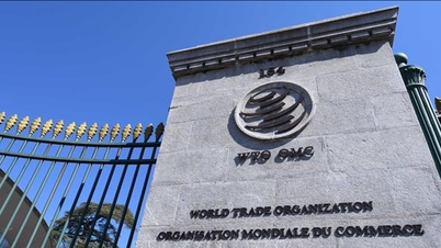 Kína beperelte Indiát a WTO-nál.
