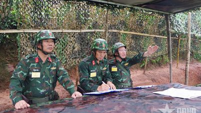 395e Divisie (Militaire Regio 3): Grondige voorbereiding, realistische trainingsoefeningen.