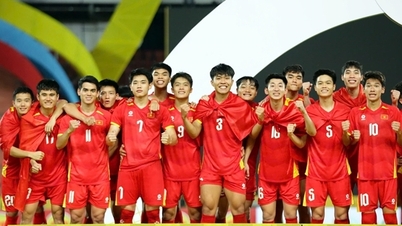 Vietnamský fotbal a jeho vnitřní silné stránky.