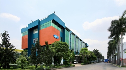 חברת Truong Thanh Wood (TTF) ממשיכה להחליף את מנהל החשבונות הראשי שלה, רק יותר מחודשיים לאחר המינוי.