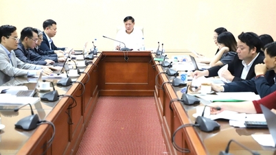 Zajištění konzistence mezi právními dokumenty týkajícími se národní míry reprodukční plodnosti.