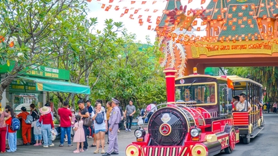 Многие развлекательные заведения в Хошимине предлагают повышенные скидки в связи с новогодними праздниками.