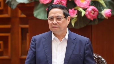 Prime Minister: Choose the optimal option for the North-South high-speed railway.