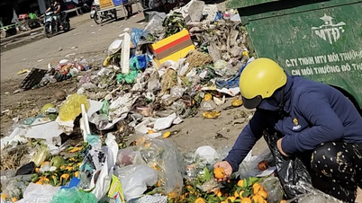 Bedenken hinsichtlich der Lebensmittelsicherheit: Unklare Herkunft.