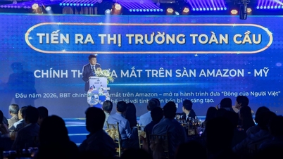 Impian sebuah bisnis berusia 65 tahun untuk membawa kapas Vietnam ke dunia.