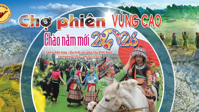 Les couleurs printanières éclatantes des hauts plateaux arrivent au cœur d'Hanoi.