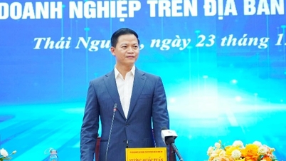 Dialogue conference between the Chairman of the Provincial People's Committee and the business community.