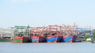 Menyokong nelayan dalam menaik taraf peranti pengesan kapal penangkapan ikan mereka.