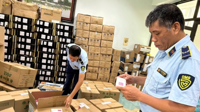 Combaterea mărfurilor contrafăcute în comerțul electronic.