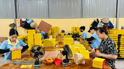 La comuna de Viet Hong ha alcanzado o superado el plan 2025 en 17 de los 21 objetivos.