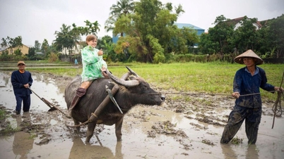 เมืองดานังถือเป็นก้าวสำคัญใหม่ในการพัฒนาการท่องเที่ยวเชิงนิเวศ