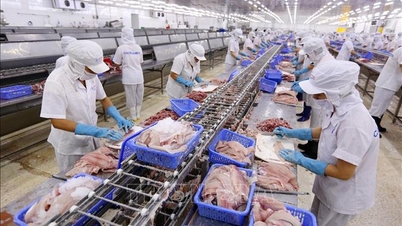 時事問題：ベトナムへの信任投票