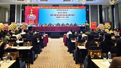 Asosiasi Pariwisata Provinsi Gia Lai resmi memulai masa jabatan pertamanya.