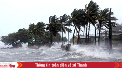 থান হোয়া প্রদেশ সমুদ্রে তীব্র বাতাসের প্রতি সক্রিয়ভাবে সাড়া দেয়।
