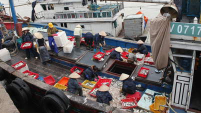 Thanh Hoa province supports fishermen in installing vessel tracking devices on fishing boats.