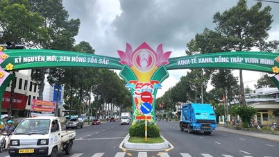 Dong Thap: The number of newly established businesses has increased sharply.