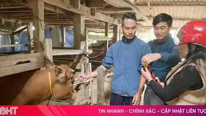 លោក Phuc Trach ផ្តល់ជំនួយជាង ៥១៦ លានដុង ដើម្បីជួយជនក្រីក្រអភិវឌ្ឍសេដ្ឋកិច្ចរបស់ពួកគេ។