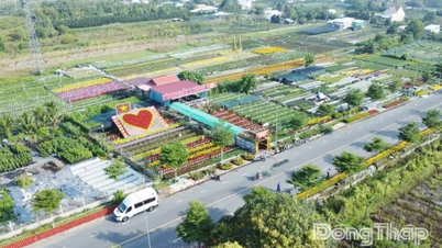 Desa Bunga Sa Dec: Dari pertanian lereng bukit tradisional hingga menjadi "ibu kota" bunga dan tanaman hias di Delta Mekong.