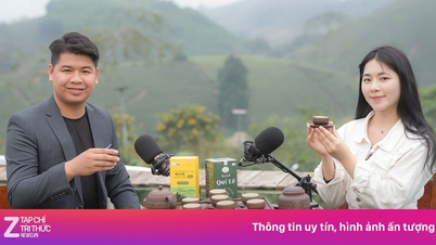 Những người 'điểm hoa trên đá', mở lối du lịch bền vững ở Phú Thọ