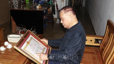 «ផ្កាភ្លើងច្នៃប្រឌិត» នៃឧស្សាហកម្មគ្រឿងចក្រកសិកម្ម។