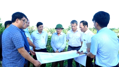 លោក ង្វៀន ង៉ុកសាំ អនុប្រធានគណៈកម្មាធិការប្រជាជនខេត្ត ចុះត្រួតពិនិត្យស្ថានភាពជាក់ស្តែងនៃគម្រោងអភិវឌ្ឍន៍លំនៅដ្ឋាន និងទីក្រុង។