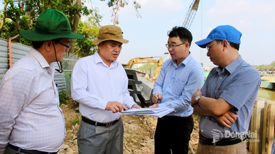 Removing obstacles to expedite land clearance for the Cai Riverfront Road Project.