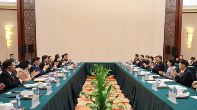 The provincial delegation visited and worked in the Guangxi Zhuang Autonomous Region, China.