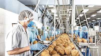 Les entreprises les plus performantes devraient accroître leurs exportations en 2025