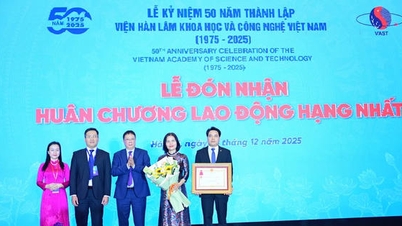 Budování základů vietnamských znalostí.