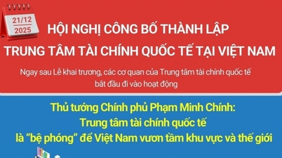 Založit mezinárodní finanční centrum ve Vietnamu.