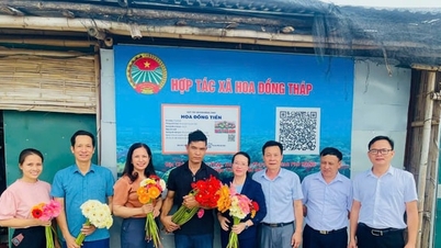 From rice paddies to high-tech flower farms: