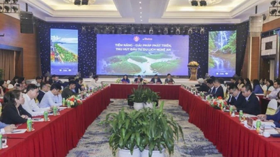 Potenziale entwickeln und Investitionen in den Tourismus in Nghe An anziehen.