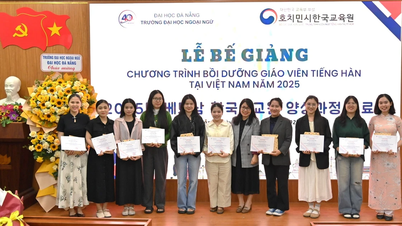 Bế giảng Chương trình bồi dưỡng giáo viên tiếng Hàn 2025: Tiếp nối sứ mệnh kết nối Việt – Hàn