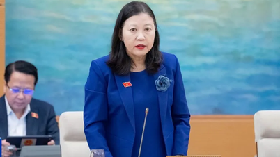 불만 사항에 대한 답변 및 해결 기한을 명확히 하십시오.