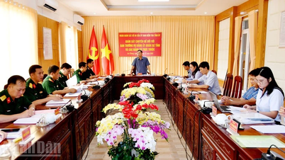 Überwachung der Umsetzung der Resolution des Ersten Kongresses des Provinzparteikomitees von An Giang.