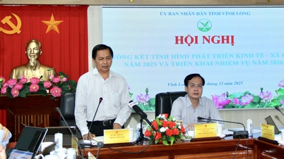 Vinh Long hat in verschiedenen Bereichen viele wichtige und umfassende Ergebnisse erzielt.