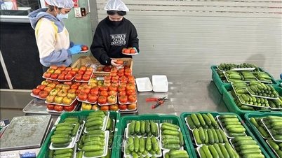 Lam Dong: Utbudet av och priserna på grönsaker stabiliseras gradvis efter översvämningarna.