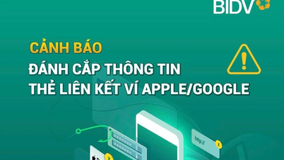 វិធីសាស្រ្តដែលប្រើដើម្បីលួចព័ត៌មានកាតឥណទានដែលភ្ជាប់ទៅនឹង Apple និង Google Wallets។