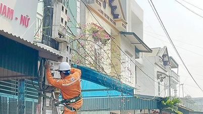 Phu Tho Power Companyは、40,000台を超える遠隔電子電力メーターを交換しています。