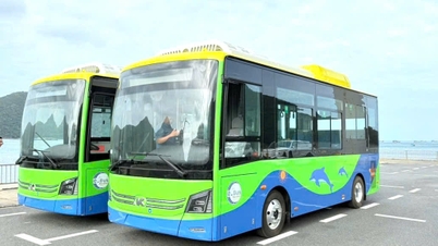 Ho Chi Minh Şehri, Con Dao'da ilk elektrikli otobüs hattını hizmete açtı.