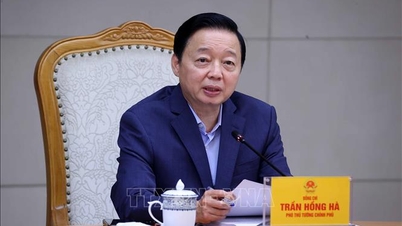 Thí điểm hạn ngạch phát thải để hoàn thiện, đồng bộ cơ chế quản lý